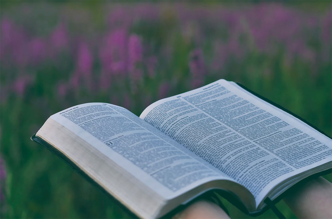 the-bible2